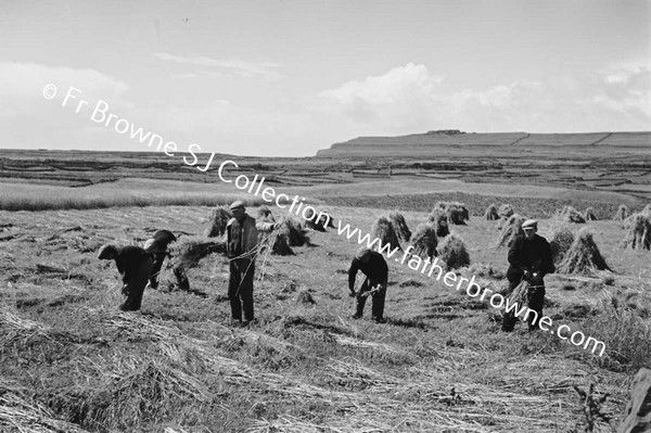 HARVEST AT KILMURVEY